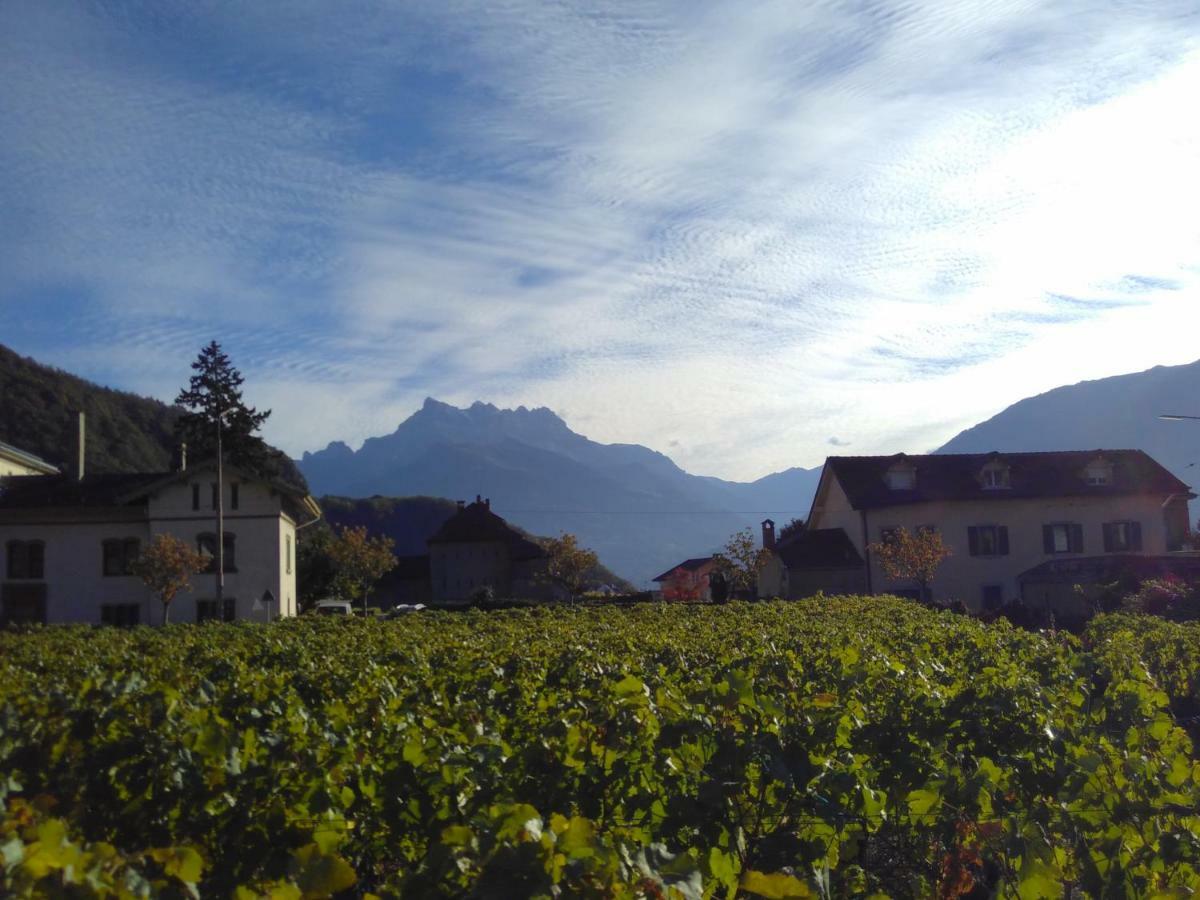 Element-Terre Hotel Aigle Bagian luar foto