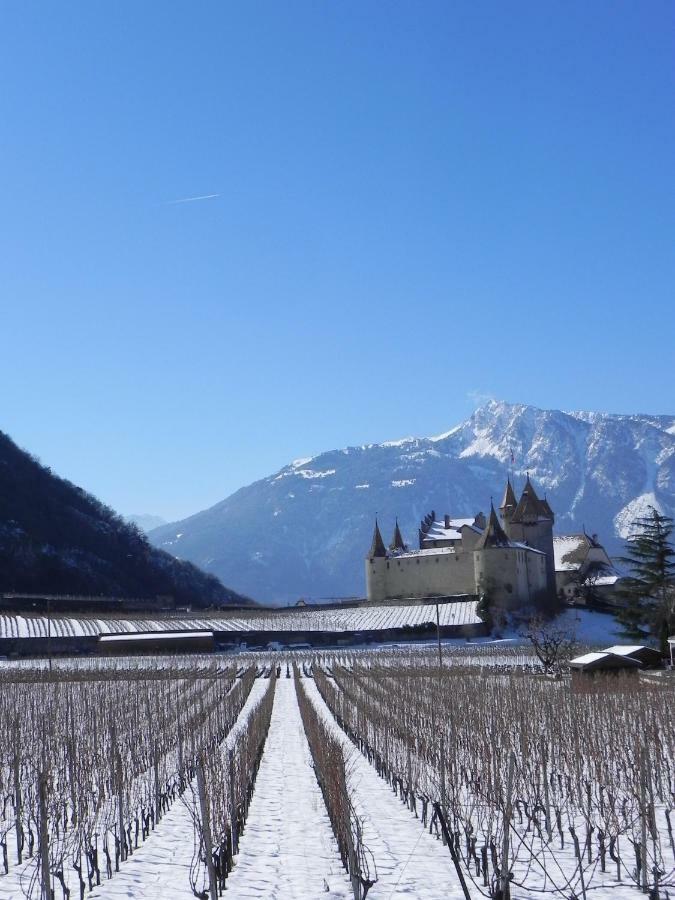Element-Terre Hotel Aigle Bagian luar foto