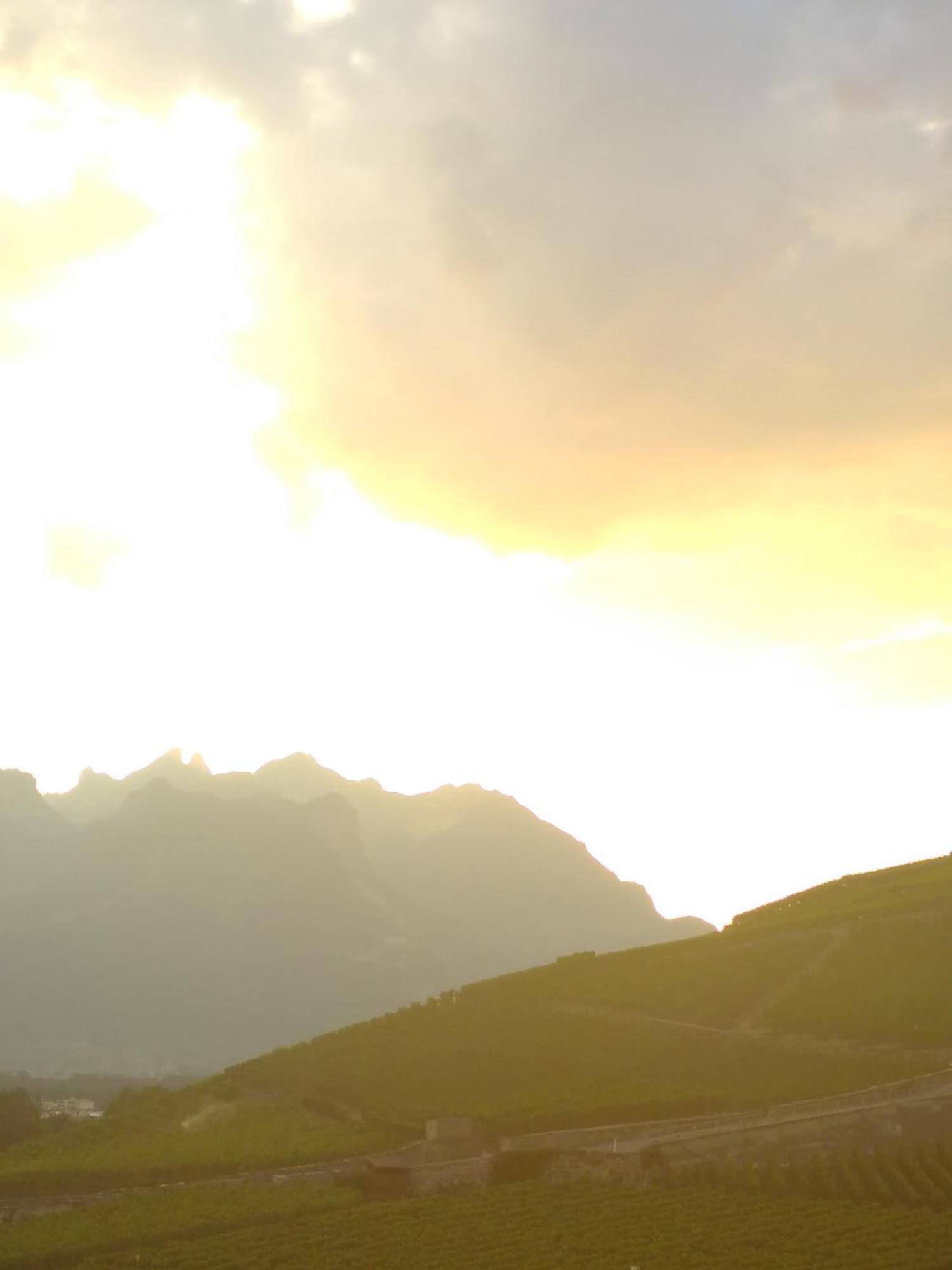 Element-Terre Hotel Aigle Bagian luar foto
